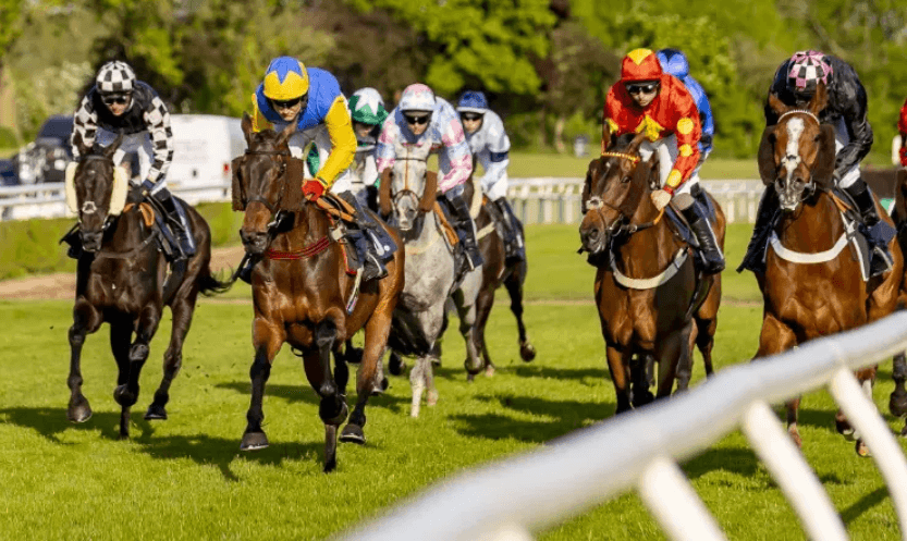 The Role of Stewards in Horse Racing