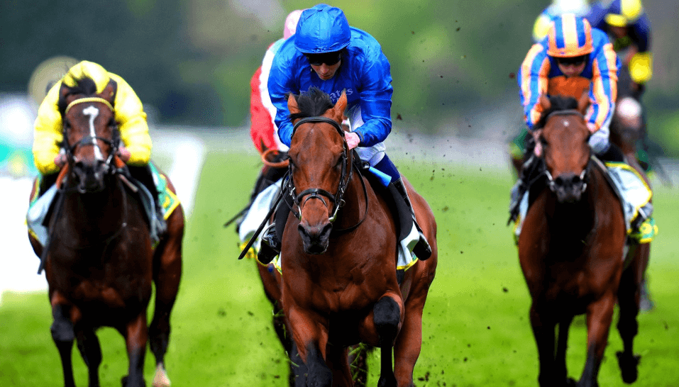 The Role of Stewards in Horse Racing: Ensuring Fair Play