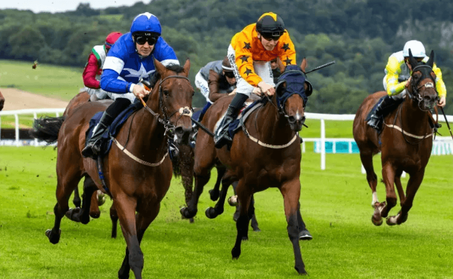 The Role of Technology in Modern Horse Racing