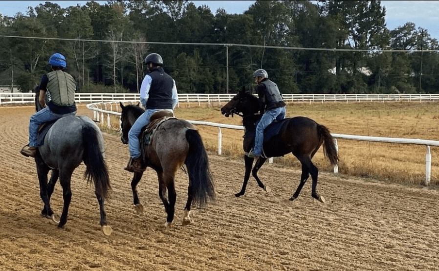 The Role of the Paddock in Horse Racing