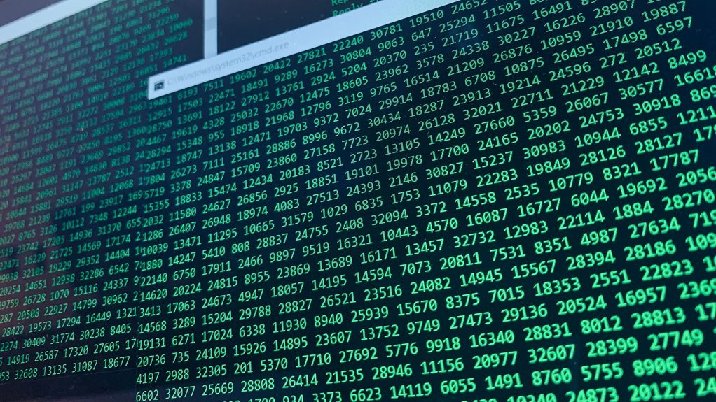 quantumsync phone numbers enumerated